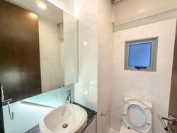Radiance @ Bukit Timah (D21), Terrace #496898901
